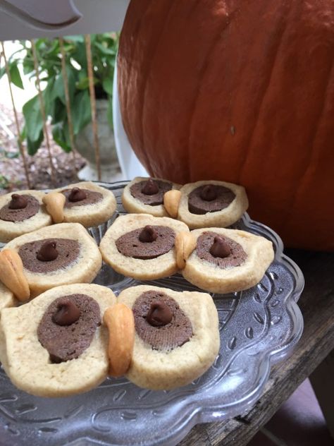 Hoot Owl Cookies/fall party treats/cookie recipe/woodland shaped cookies/#cookies Fall Party Treats, Cookies Pillsbury, Fun Fall Treats, Shower Recipes, Tailgate Ideas, Cookies Fall, Owl Cookies, Little Owls, Love Cookies