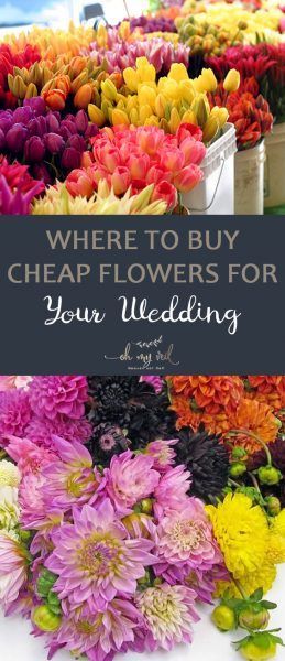 Cheap Flowers For Wedding, Wedding Save Money, Wedding Flowers Cheap, Wedding Centerpiece Ideas, Expensive Flowers, Fresh Wedding Flowers, Frugal Wedding, Wholesale Flowers Wedding, Cheap Wedding Flowers