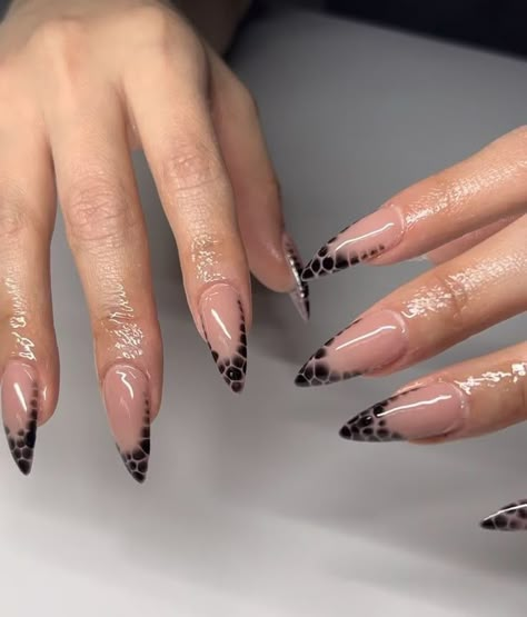 Long Nails Black And White, Black Gel Nails Almond, Almond Black Nails Design, Black Animal Print Nails, Black Almond Nails Designs, Black Trendy Nails, Black Nails Almond, Stiletto Nails Black, Black Almond Nails