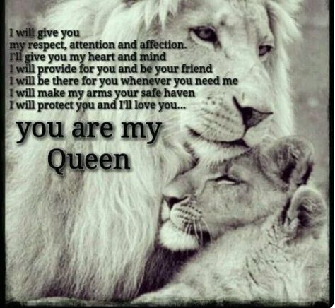 I'm so glad to have found someone who treats me right and I the same for her. Lioness Quotes, You Are My Queen, Lion Quotes, I Will Protect You, Lion Love, My Queen, Word Up, Queen Quotes, Couple Quotes