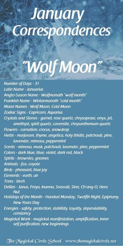 Buck Moon Correspondences, January Full Moon 2024, Monthly Correspondences, January Full Moon, January Moon, Full Moon Names, Full Moon Spells, Moon Zodiac, Moon Meaning