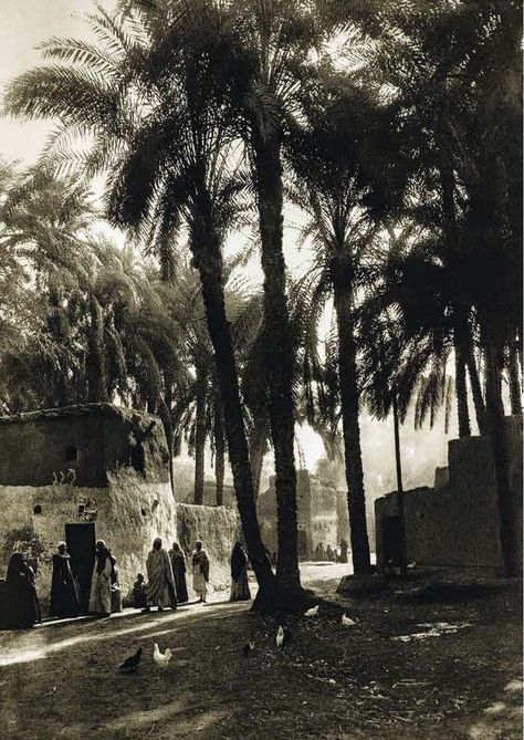 Deir Mouas village in Upper Egypt 1929 Egyptian Village, Egyptian Streets, Desert Cities, Egypt Vintage, Upper Egypt, Arabian Art, Village Shop, Arab Culture, Old Egypt