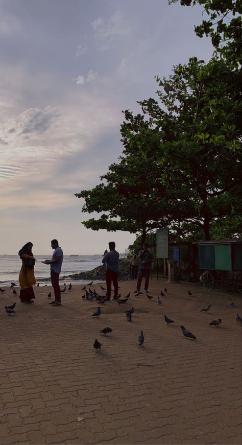 Fort Kochi Beach, Fort Kochi, Kochi, Fort, Quick Saves