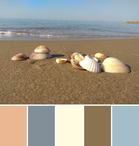 Pastel Pantone, Color Of The Day, Color Schemes Colour Palettes, Color Balance, Color Grading, Colour Palettes, Color Theory, Colour Palette, Color Trends