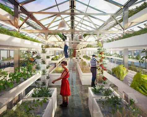 antonio scarponi combines urban farming with industrial rooftops Farming Architecture, Agriculture Design, Strategic Design, Greenhouse Farming, Aquaponics Diy, Urban Farmer, Vertical Farming, Urban Agriculture, Urban Development