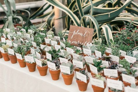 Greenery Wedding Centerpieces, Greenery Wedding Bouquet, Wedding Photo Booth Props, Greenery Centerpiece, Creative Wedding Favors, Beachy Wedding, Best Wedding Favors, Greenery Garland, Greenery Wedding Invitations