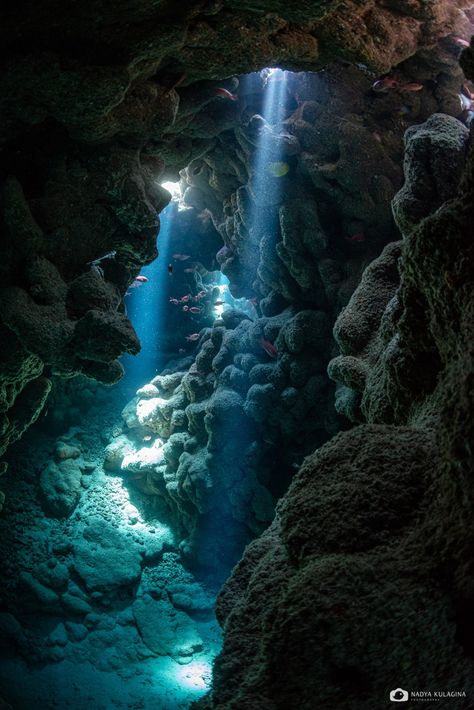 Underwater River, Cave Photography, Mermaid Cave, No Ordinary Girl, Underwater Caves, Cave Diving, Amazing Nature Photography, Underwater Life, Water Photography