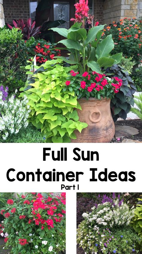 Full Sun Container Ideas (Part 1) Best Full Sun Plants For Pots, Full Sun Container Ideas, Patio Planter Ideas Plant Pots, Potted Plants Full Sun, Full Sun Planters, Full Sun Container Plants, Front Porch Flower Pots, Front Porch Plants, Front Porch Flowers