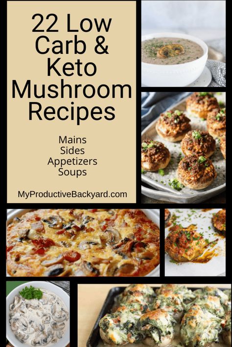 22 Low Carb Keto Mushroom Recipes; As a Main Dish or Side, Mushrooms are a Great Addition to a Healthy Diet! Keto Mushroom Recipes, Cooking Crab, Keto Mushrooms, High Fat Low Carb Recipes, Dairy Free Low Carb, Low Carb Meal Prep, Freezer Meal Prep, Vegetable Side Dishes Recipes, Low Carb Appetizers