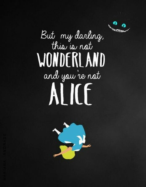 But my darling, this is not wonderland and you're not Alice Quotes Alice In Wonderland, Alice In Wonderland Background, Desktop Background Quote, Alice And Wonderland, Alice And Wonderland Quotes, Wonderland Quotes, Adventures By Disney, Quotes Disney, Super Quotes