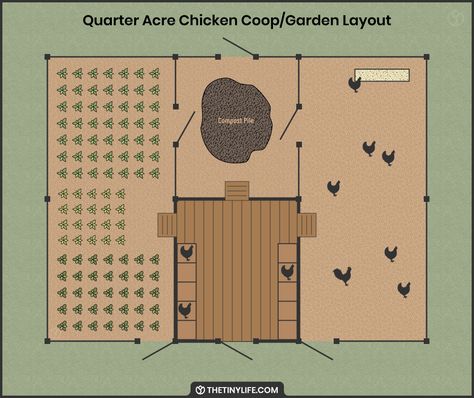 Chicken Coop By Garden, Garden Chicken Coop Layout, Sunflower Chicken Coop, Chicken Coop Veggie Garden, Chickens Small Backyard, Chicken Coop Fencing, Chicken Coop Attached To House, Garden Layout With Chicken Coop, Vegetable Garden And Chicken Coop