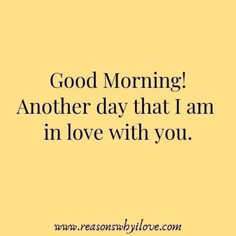 Morning Wishes For Lover, Morning Smile, Funny Good Morning Messages, Morning Texts For Him, Funny Good Morning, Husband Quotes Funny, Morning Status, Message For Husband, Good Morning Quotes For Him