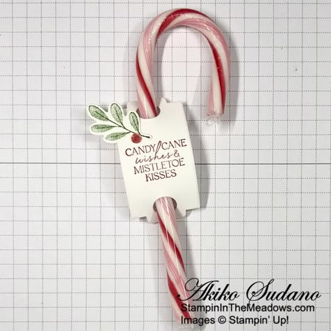 Christmas Individual Wrapped Treats, Candy Cane Packaging, Cricut Candy Cane Holder, Stampin Up Sweet Candy Canes, Christmas Favors Ideas, Sweet Candy Canes, Candy Cane Cards, Candy Cane Gifts, Candy Cane Crafts