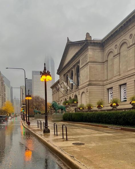 Chicago Aesthetic Daytime, Michigan Avenue, The Art Institute Of Chicago, Art Institute Of Chicago, Places Ive Been, Michigan, Cool Photos, Chicago, Sweet Home