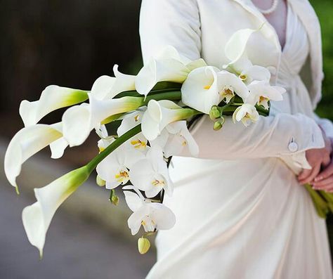 BEAUTIFUL Arm Sheaf/Presentation Wedding Bouquet Showcasing: White Calla Lilies & White Phalaenopsis Orchids + Buds•••• Pageant Bouquet, Calla Lily Bridal Bouquet, Pink Lily Flower, Calla Lily Bridal, Calla Lily Wedding, Calla Lily Bouquet, Orchid Bouquet, Lily Wedding, Bridal Bouquet Flowers