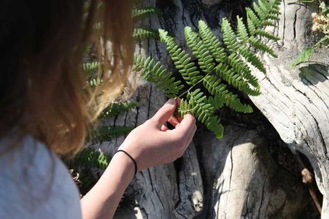 How Art in Nature Heals: A Glimpse into Eco-Art Therapy — She Explores Art Therapy Studio, Laura Hughes, Art In Nature, Encouraging Art, Eco Art, Art Therapist, Material Art, Art Therapy Activities, Plant Therapy