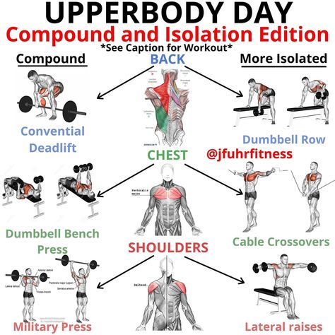 Upper Body Workout Men, At Home Dumbbell Workout, Upper Body Weight Workout, Dumbbell Full Body Workout, Model Workout Plan, Effective Full Body Workout, Home Dumbbell Workout, Upper Body Home Workout, Body Weight Hiit