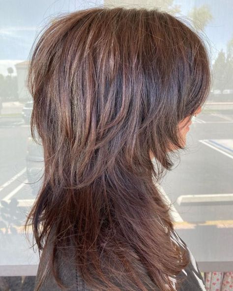 Gorgeous Cinnamon Brown Wolf Cut Light Brown Wolf Cut, Brown Wolf Cut, Brown Wolf, Long Layers With Bangs, Layered Thick Hair, Layered Haircuts For Women, Layered Haircuts With Bangs, Wolf Haircut, Layered Curly Hair