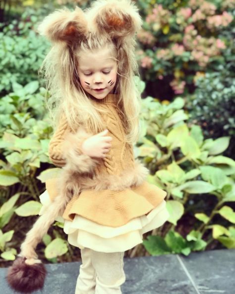 Toddler DIY Lion homemade kids costume Lion Costume Toddler Girl, Lion Custome Women Diy, Kids Lion Costume Diy, Diy Toddler Animal Costume, Homemade Lion Costume Kids, Diy Lion Costume Kids, Diy Lion Costume Women, Homemade Lion Costume, Lion King Costumes Diy