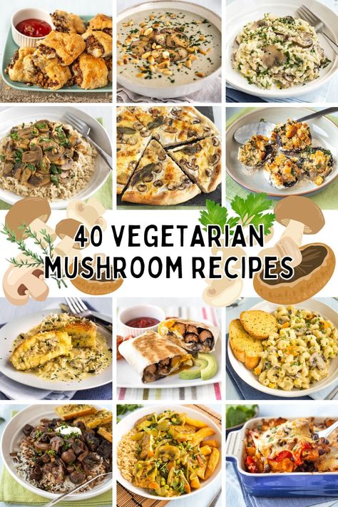 40 Vegetarian Mushroom Recipes - A collection of 40 of my favourite mushroom recipes, including casseroles, pastas, stews, and more! #mushrooms #vegetarian #vegetarianrecipes #mushroomrecipes Budget Vegetarian Recipes, Goat Cheese Pizza Recipes, Healthy Mushroom Recipes, Vegetarian Mushroom Recipes, Fried Mushroom Recipes, Aakanksha Singh, Easy Mushroom Recipes, Mushroom Recipes Vegan, Vegetarian Tacos Recipes