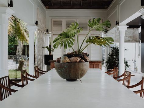 4 Friends Restored a Crumbling 1912 Mansion in Sri Lanka: Photos - Business Insider British Colonial Dining, Tropical British Colonial Style, British Colonial Interiors, West Indies Decor, Tropical British Colonial, Bali Style Home, Pool Pavilion, British Colonial Decor, Colonial Kitchen