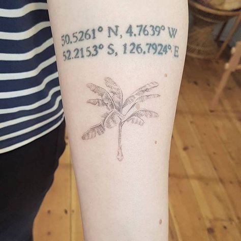 Tree Tatto, Banana Plant, Inner Forearm, Hand Poked Tattoo, Plant Tattoo, Banana Plants, Poke Tattoo, Banana Tree, Hand Poke