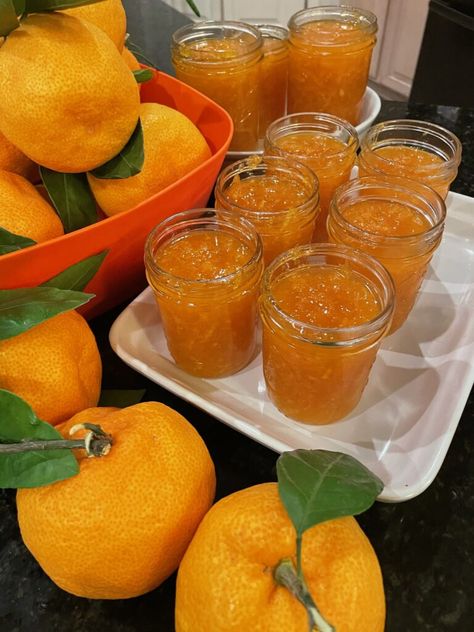 Preserving Mandarin Oranges, Satsuma Marmalade Recipes, Satsuma Jelly Recipes, Satsuma Jam Recipe, Satsuma Jelly, Satsuma Recipes, Kumquat Marmalade Recipes, Kumquat Marmalade, Mandarine Recipes