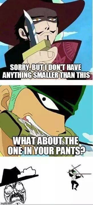 10155607_983269638368716_365290714970080285_n Zoro Memes Funny, One Piece Memes Funny, One Piece Funny Moments, One Piece Merchandise, Arte Nerd, One Piece Meme, One Piece Crew, Anime Funny Moments, One Piece Funny