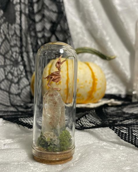 How about housing a mischievous little spirit in a crystal cage this Halloween for a hauntingly unique vibe? Available now! threadandbonetx.etsy.com #oddities #halloween #terrarium #terrariumdesign #taxidermy #butterfly #witch #witchaesthetic #spooky #halloweendecor #diycrafts #crystals #halloweendisplay #halloweencrafts Gothic Terrarium, Butterfly Witch, Halloween Terrarium, Crystal Cage, Taxidermy Decor, W.i.t.c.h Aesthetic, Halloween Displays, Taxidermy, Halloween Crafts