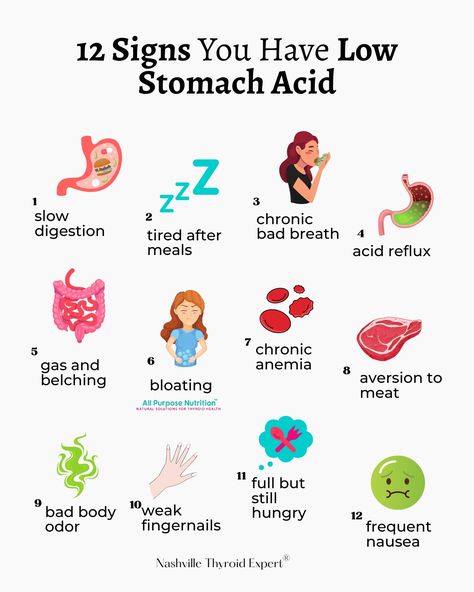 It is estimated that up to 40% of people with Hashimoto's' have low stomach acid (PMID: 28491051) Gerd Diet Plan, Hormone Nutrition, Gerd Diet, Low Stomach Acid, Holistic Diet, Gym Tips, Irritable Bowel, 12 Signs, Stomach Acid