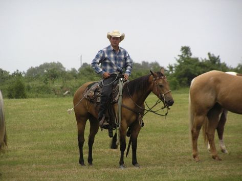 Hummingbirds Photography, Cowboy Ranch, Real Cowboys, Whitetail Bucks, Cattle Ranching, Cowboy Up, Rare Animals, Pet Rats, Cowboy Style