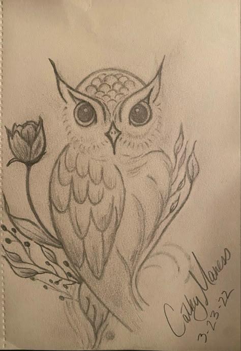 Owl Drawings Sketches, Cool Drawings Ideas Creativity Awesome, Basic Pencil Drawings, Whole Page Drawings, Owl Sketch Simple, Things To Draw Animals, Big Drawing Ideas, Owl Sketch Drawing, Owl Drawing Sketches