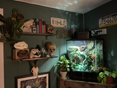 Diy Moss, Reptile Room, Animal Room, Dream Room Inspiration, Room Makeover Inspiration, Room Inspiration Bedroom, Dream Decor, Dream Rooms, Dream House Decor