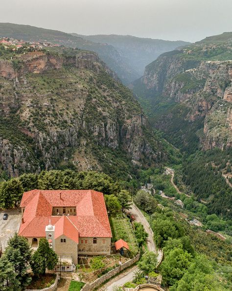 Lebanon Culture, Mount Lebanon, Eastern Countries, Show Beauty, Beirut Lebanon, Bmw Motorcycles, Travel Outdoors, Beirut, Green Trees