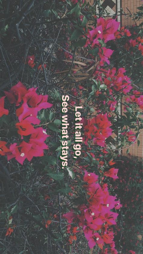 Pink Flowers Aesthetic, Aesthetic Caption, Random Flowers, Nature Photography Quotes, Sunset Quotes Instagram, Aesthetic Captions, Instagram Picture Quotes, Snap Streak Ideas Easy, Insta Bio