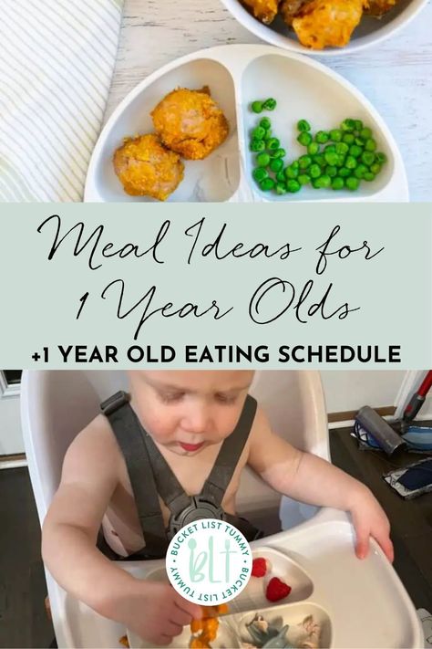 This breakdown of a 1 year old eating schedule can help provide structure and consistency when feeding your baby and you can modify as needed. I’m also sharing several, dietitian-approved meal ideas for your one year old! Snacks For A One Year Old, Lunch Ideas For 1 Year Baby, One Year Old Dinner Ideas, Recipes For 1 Year Baby, Meal Ideas For 1 Year Baby, Lunch For 1 Year Baby, One Year Old Meals, Meals For 1 Year Baby, One Year Old Meal Ideas