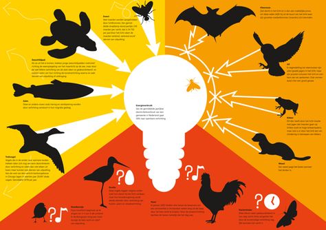 Light pollution by Robin de Kok, via Behance Light Pollution Infographic, Light Pollution Project, Light Pollution Art, Light Pollution Poster, Pollution Project, Intentional Community, Environmental Justice, Retirement Community, Light Pollution