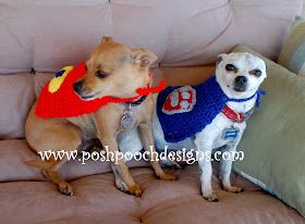 Dog Superhero, Cape Crochet, Diy Dog Clothes, Super Hero Cape, Crochet Pets, Superhero Cape, Dog Clothes Diy, Blue Cape, Cape Pattern