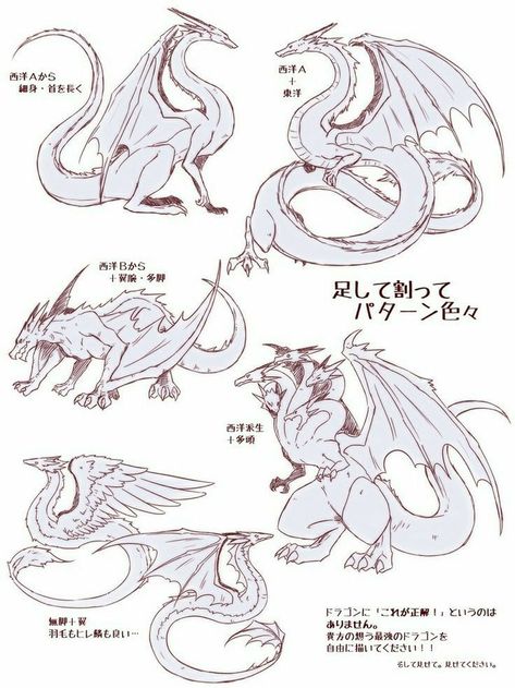 Dragon Poses, Dragon Anatomy, Dragon Sketch, Creature Drawings, Dragon Pictures, 캐릭터 드로잉, Fantasy Creatures Art, Dragon Artwork, Mythical Creatures Art