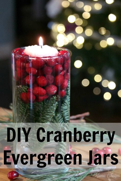 Simple yet elegant, classic farmhouse style decor (especially if you make these up in mason jars). We make these DIY cranberry evergreen jars every year for our holiday table centerpieces. Place a floating candle on the top and light it just before your guests arrive. A beautiful, colorful way to decorate for the Christmas season! #christmas #farmhouse #mamacheaps Evergreen Decorations, Cranberry Centerpiece, Winter Wedding Centerpieces, Holiday Table Centerpieces, Christmas Centerpieces Diy, Wedding Floral Centerpieces, Festival Diy, Wedding Winter, Navidad Diy