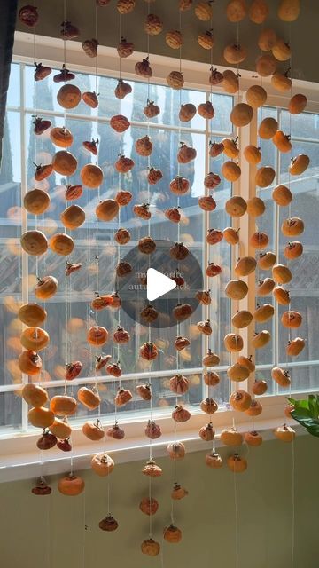 zelina ⋆౨ৎ˚⟡˖ ࣪ on Instagram: "Hoshigaki: peeling fresh persimmons and then hanging them up to dry in the sun and wind 🌟 A tradition my family does during the autumn and winter season 🍂 The sugar of the persimmon gets naturally drawn out and crystallizes on the outside! The texture ends up being similar to a gummy candy 🤤 Tips: • when the persimmons are drying, make sure they don’t touch!! no touchy 😂👉👈 • hang them up by a window with plenty of natural sunlight ✨ • tie the strings on the stems of each fruit • place an oscillating fan in front of the persimmons on low speed and allow it to run continuously. It prevents against mold and fruit flies, works like a charm!! 😉 • dry for at least 7-10 days, but you can enjoy them depending on what kind of texture you’d like! (drying can be Dark Location, No Touchy, Fruit Flies, Natural Sunlight, Persimmon, Gummy Candy, Winter Season, Autumn And Winter, My Family