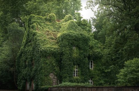 Overgrown Cottage, Overgrown House, Cool Mansions, Aesthetic Medieval, Peace Aesthetic, Witchy Cottage, Key House, Fantasy Cottage, Fairytale Forest