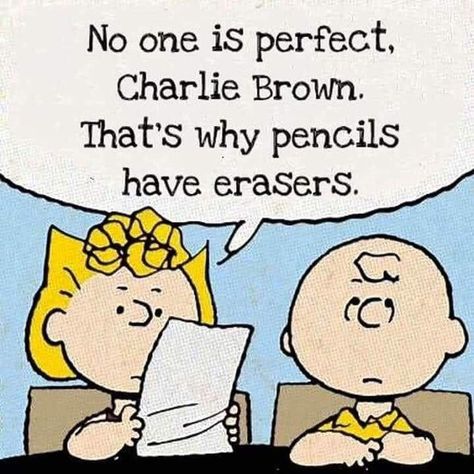 Charlie Brown Cartoon, Peanuts Quotes, Brown Cartoon, Charlie Brown Quotes, Sally Brown, Snoopy Funny, Peanuts Cartoon, Snoopy Quotes, Snoopy Pictures