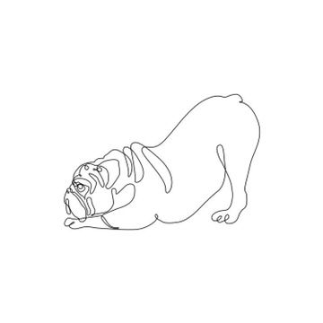 English Bulldog Outline, English Bulldog Drawing, English Bulldog Tattoo, One Line Animals, English Bulldog Care, English Bulldog Art, Bulldog Drawing, Grace Tattoos, Art Deco Tattoo