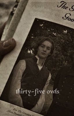 Read I from the story {Thirty-Five Owls} by marauderseramostly (Lily) with 699 reads. grindelwald, nurmengard, harrypot... Albus Dumbledore Aesthetic, Harry Potter Prequel, Fantastic Beasts Series, Toby Regbo, Gellert Grindelwald, Gay Harry Potter, Newt Scamander, Eddie Redmayne, Fantastic Beasts And Where