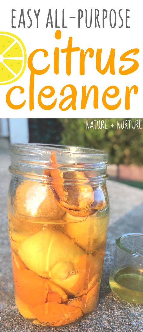 Making homemade citrus cleaner is simple. Make this super easy, effective cleaning vinegar to use in your kitchen, bath, and all over your home! #diycleaner #nontoxic #homemadecleaner #allpurposecleaner #citruscleaner #clean #cleaning #cleanhouse Orange Peel Vinegar, Orange Cleaner, Organic Cleaners, All Natural Cleaning Products, Citrus Cleaner, Vinegar Cleaner, Homemade Cleaners, Lime Peel, Cleaner Recipes