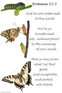 Transformation - The Butterfly | Soil of the Soul 05 Pictures, Butterflies Quotes, Beautiful Butterflies Quotes, Transformation Butterfly, Butterfly Transformation, Butterfly Metamorphosis, Butterfly Caterpillar, Transformation Quotes, Butterfly Quotes