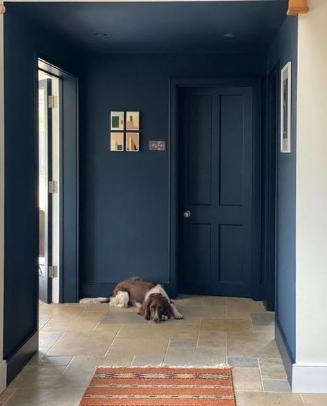 Little Greene on Instagram: "The inky blue, Basalt provides impact in both interior and exterior projects. ⁠ ⁠ Credit: @_nine_lives_design⁠ Walls and woodwork: Basalt" Lick Blue 07 Paint, Hague Blue Hallway, Walls And Doors Same Color, Blue Doors Interior, Hicks Blue Little Greene, Hague Blue Bathroom, Dark Blue Hallway, Blue Interior Doors, Dark Lounge