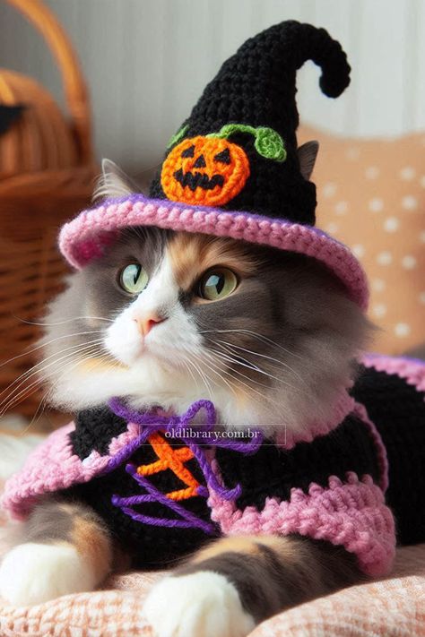 Crochet an adorable witch costume for your cat this Halloween with this easy-to-follow pattern. Perfect for spooky fun! Witch Hat For Cat Crochet, Witch Hat Cat Crochet, Crochet Witch Hat For Cat, Crochet Cat Tail For Costume, Cat Costume Crochet, Crochet Dog Costumes Halloween, Crochet Cat Costume Free Pattern, Crochet Cat Halloween Costume, Crochet Cat Sweater Free Pattern