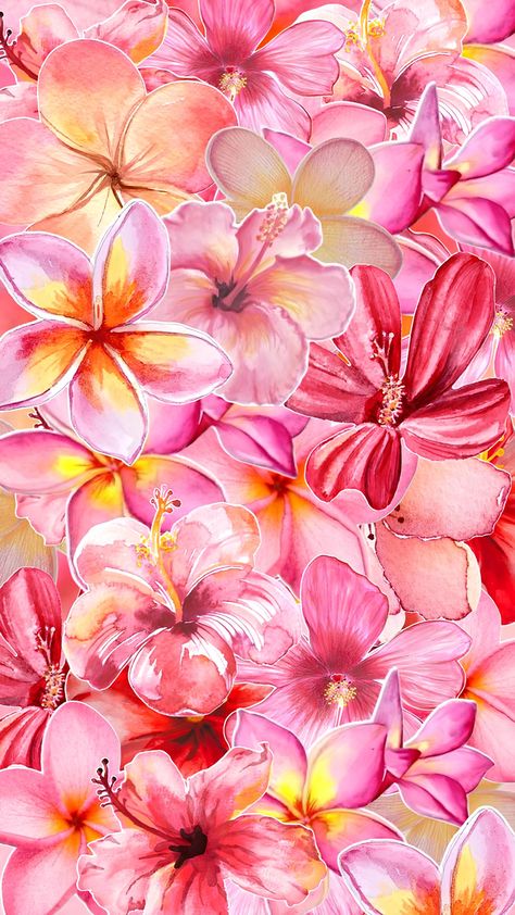 Hibiscus Flower Wallpaper Aesthetic, Summer Prints Wallpaper, Hawaii Flowers, Cute Home Screen Wallpaper, Pink Flowers Wallpaper, Wallpaper Iphone Summer, Wallpaper Flowers, Cute Flower Wallpapers, Cute Wallpaper